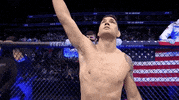 Look Up Chris Weidman GIF by UFC