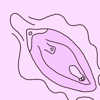 hellisinmyhead feminism menstruation vagina GIF