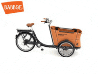 babboe_cargobike curve transporter cargobike bakfiets GIF