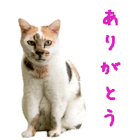 Cats Sticker