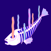 fishyfilms love happy heart smile GIF