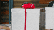 Gift Adi GIF by MasterChefAU