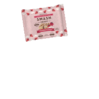 Snackapade Lunchboxlove Sticker by SMASHMALLOW