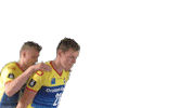 Volleyball Sticker by Draisma Dynamo