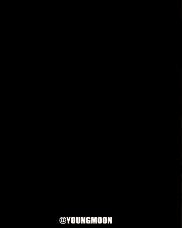 Dance Dog GIF