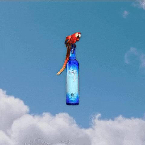 Happy Hour Fun GIF by Milagro Tequila