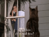 season 4 netflix GIF by Gilmore Girls 