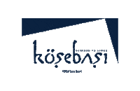 Kosebasi_tr kebab kebap raki meze Sticker