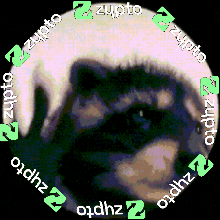 ZyptoPower cute excited celebrate crypto GIF