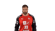Handball-Bundesliga Handball Sticker by LIQUI MOLY HBL