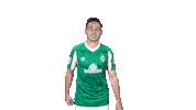 Kevin Möhwald Bundesliga Sticker by SV Werder Bremen
