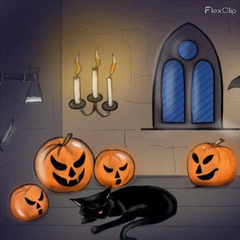Black Cat Halloween GIF