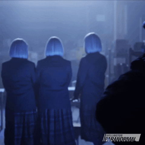What We Do In The Shadows Sia GIF by Wellington Paranormal