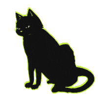 Black Cat Sticker by Freeform