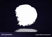 Animation Motion GIF by youmotion.com