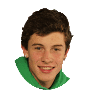 shawn mendes STICKER by imoji
