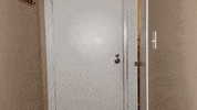 Video Games Reaction GIF by G FUEL