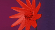 Drvblender flower GIF