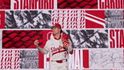 Baseball GIF by Stanford Athletics
