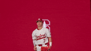 Baseball Pose GIF by Stanford Athletics