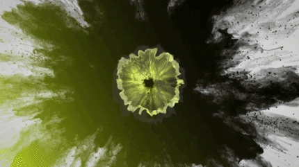 Ballmeisterei giphygifmaker giphygifmakermobile ballmeisterei GIF