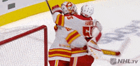Ice Hockey Hug GIF by NHL