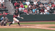 home run baseball GIF