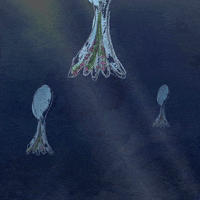 shawyanimation animation water ocean fish GIF