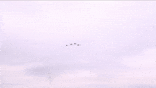 Memorial Day Plane GIF by NASCAR