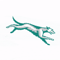 stpatsdc stpatsdc GIF