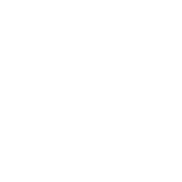 Summer くま Sticker