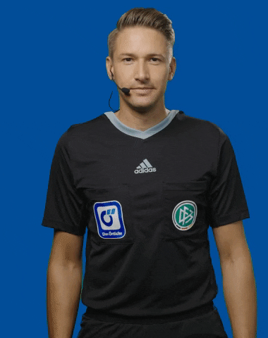 dasoertliche giphyupload soccer bundesliga fussball GIF