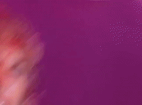 wanted man GIF