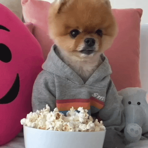 Dog Popcorn GIF by Jiffpom