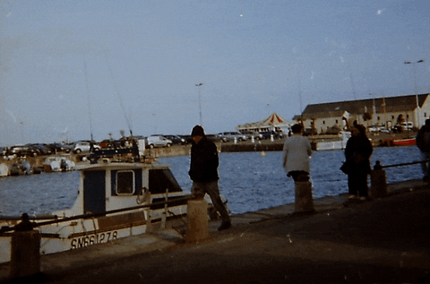 dominiklange34ca giphyupload GIF