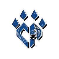 CASTL cheer athletics cheerathletics castl cheerathleticsstl Sticker