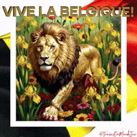 Fleurs Coquelicots GIF by TresorsDuMonde.ca