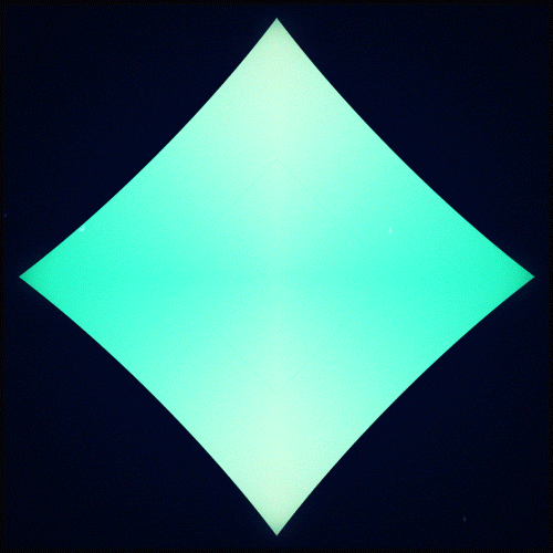 gif artist perfect loop GIF by Erica Anderson