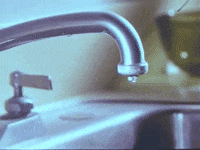 Waysides GIF by Bedouine