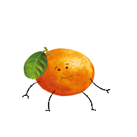 ShloerBGRocks orange squash rockssquash realfruitsquash Sticker