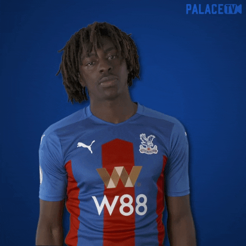 Premier League Football GIF by CPFC