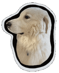 White Dog Reaction Sticker
