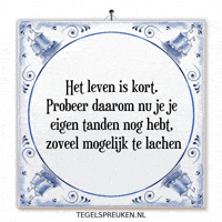 Humor Moment GIF by Tegelspreuken.nl