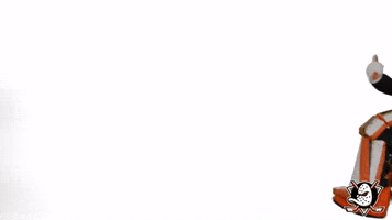 Rock And Roll GIF by Anaheim Ducks