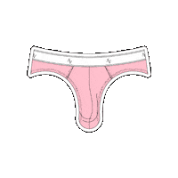 Underwear Sticker by Ven Label