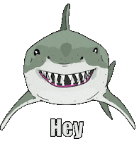 Happy Heart Sticker by Shark Week