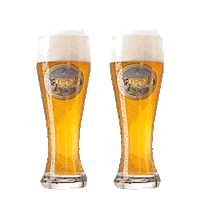 familienbrauerei_jacob jacob brauerei weizen weissbier Sticker