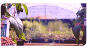 Hydro Grow GIF by Plagron