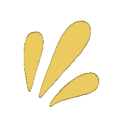 Lettering Bubbles Sticker