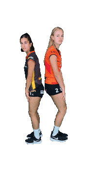 Volley Sticker by NUCVolleyball